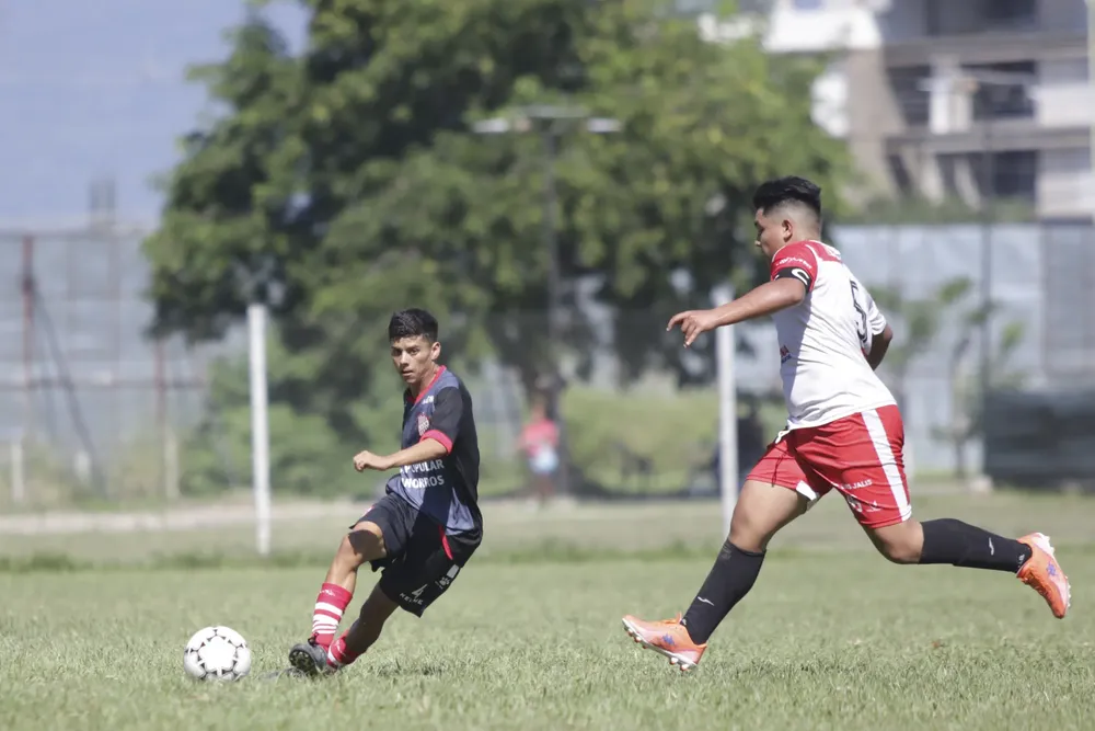 INFERIORES _15