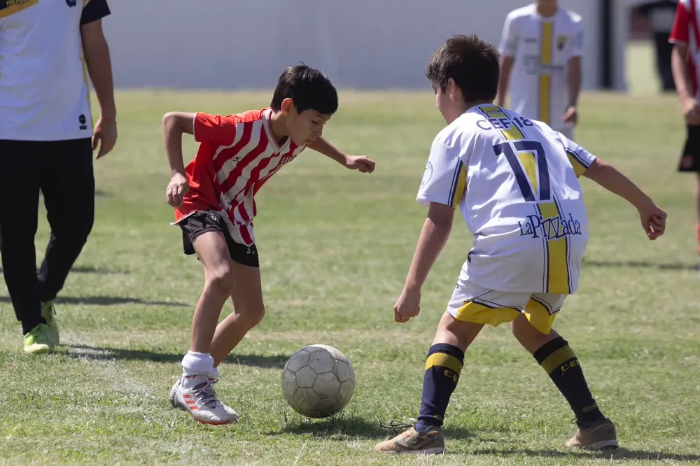 WhatsApp Image 2023-10-18 at 10.52.53