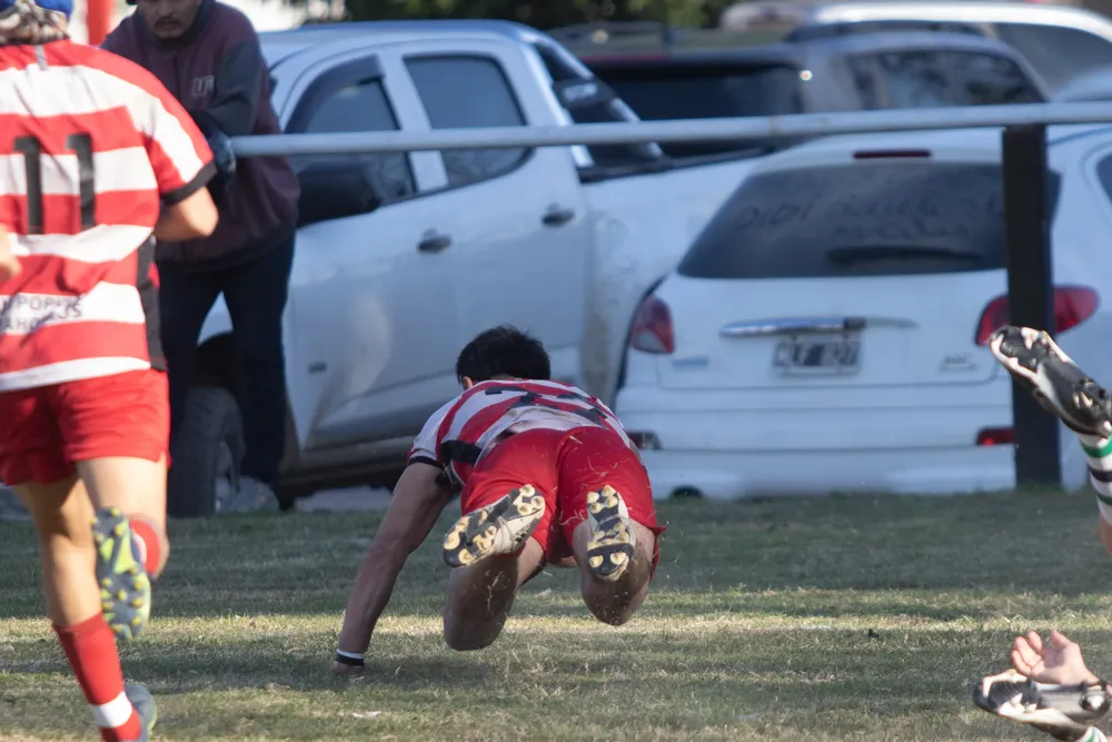 rugby 5