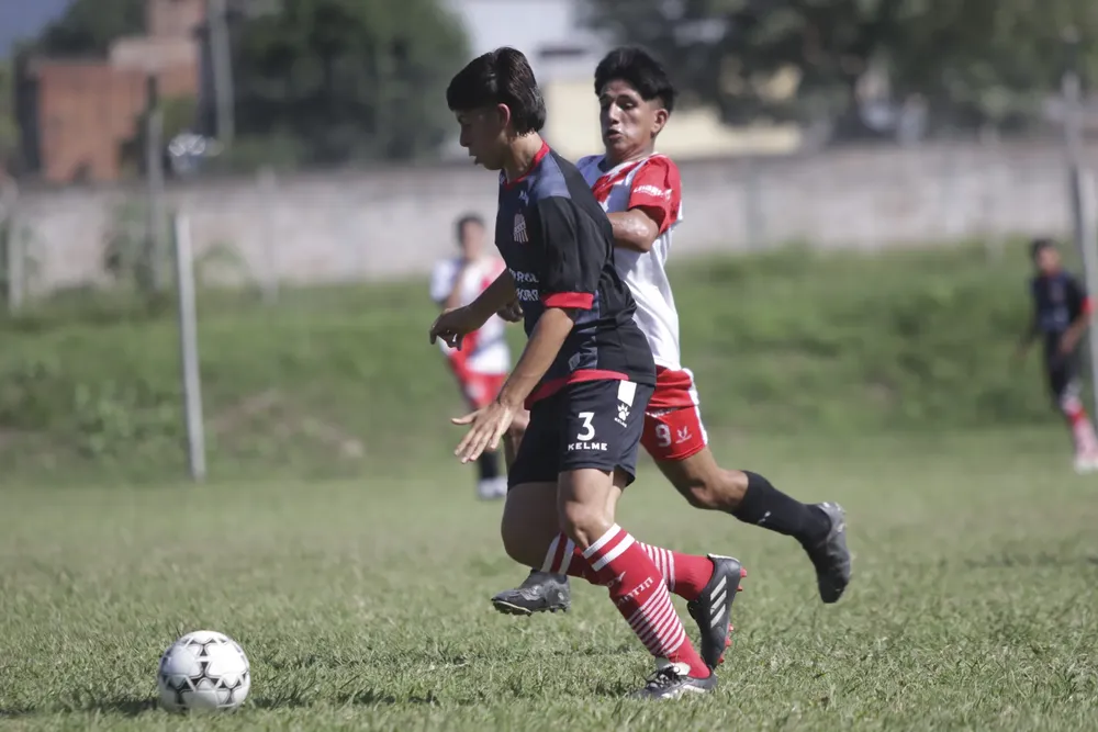 INFERIORES _6