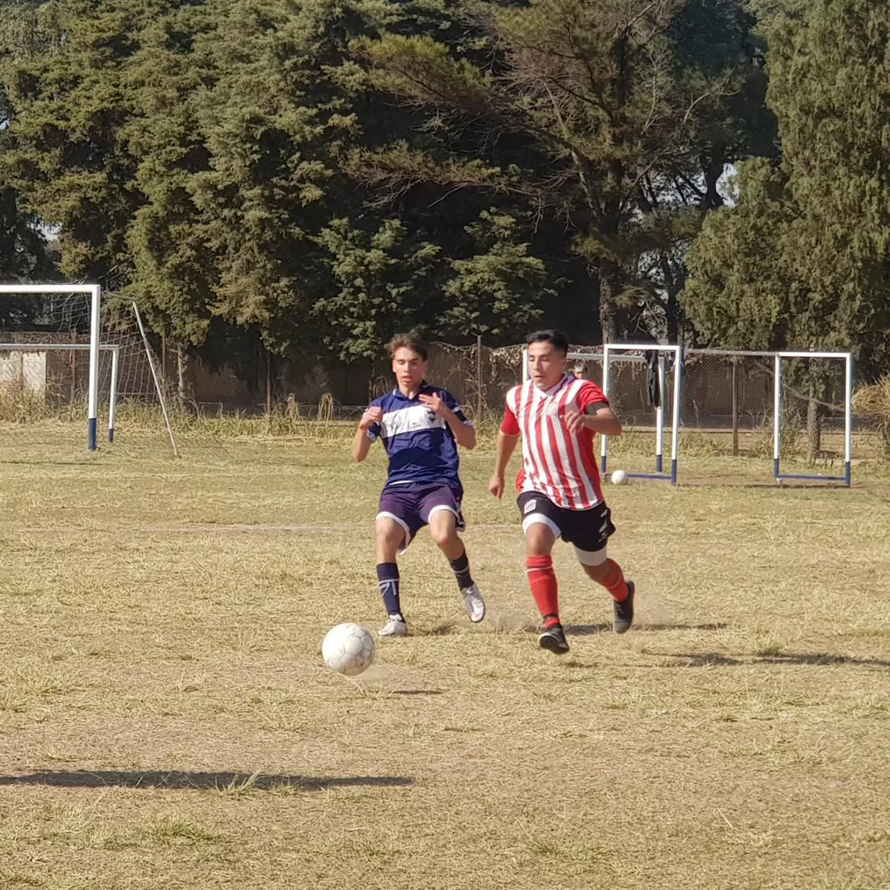 Inferiores