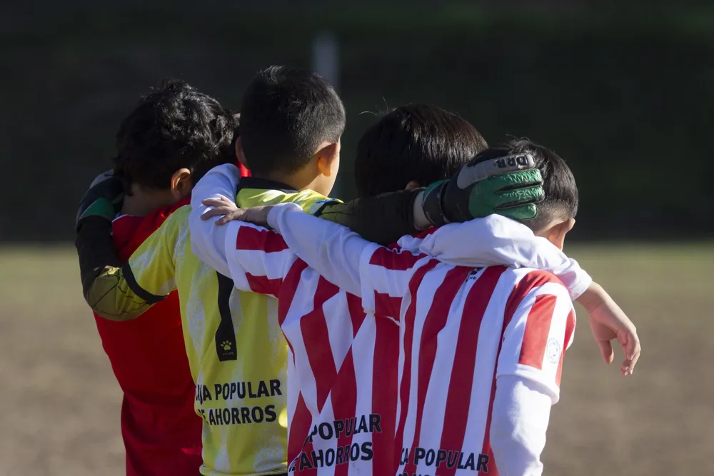 BAJA PARA REDES-7
