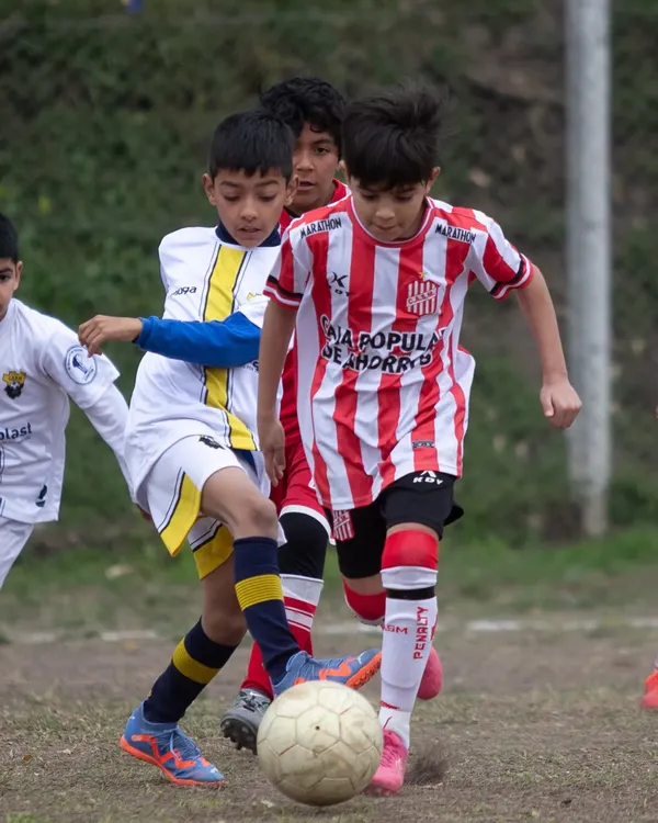 plantel_33