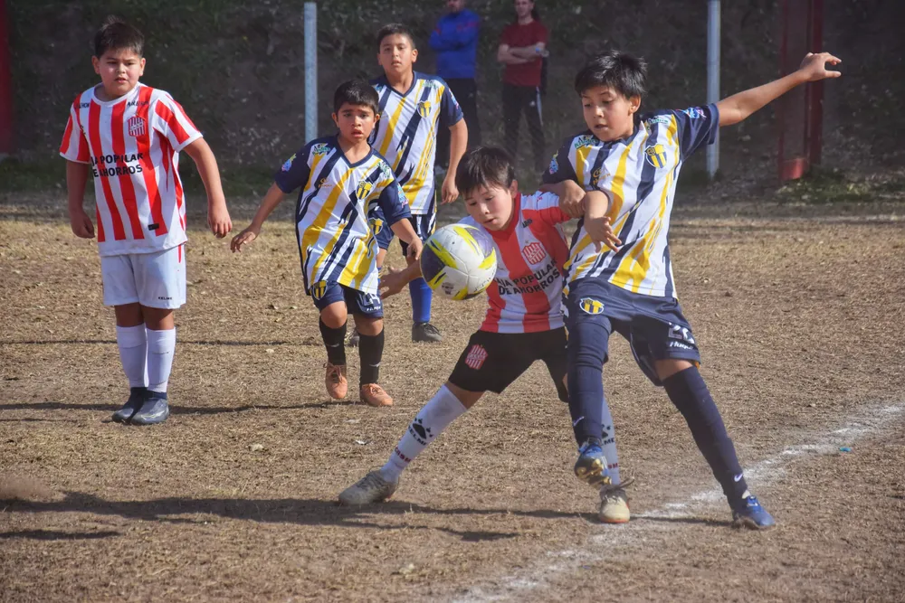 ca6a1f88-0af4-4b55-ac31-2a6cad19da27