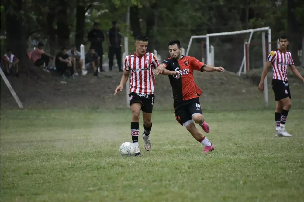 liga vs amalia