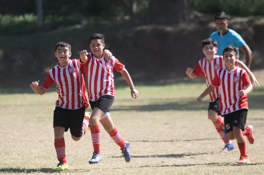 FEED INFANTILES _26
