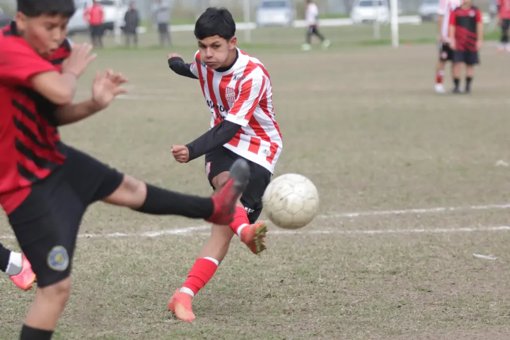 WhatsApp Image 2024-07-02 at 11.40.15 AM (1)