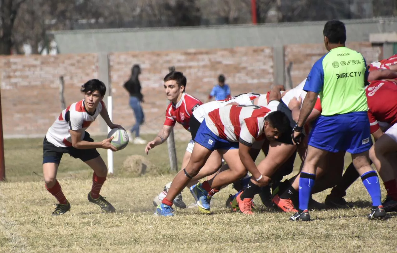 rugby (2)